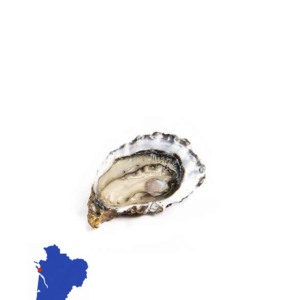 Huître affinée en claire - Charente Maritime prix les 2 dz